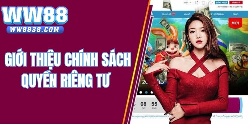 Giới thiệu chính sách quyền riêng tư cá nhân tại WW88